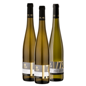 Beste Weine von der Mosel